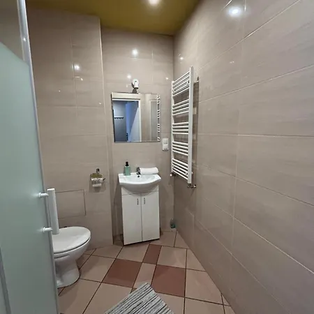 Loftline Spacious - Center I كاتوفيتسه